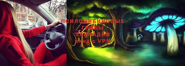 кокаин перу Дмитриев