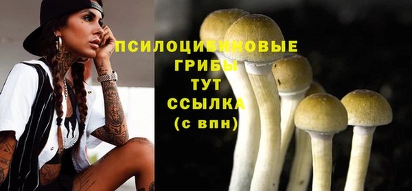 прущий лед Горняк