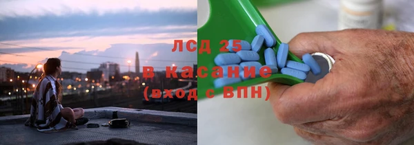 ПСИЛОЦИБИНОВЫЕ ГРИБЫ Вязники