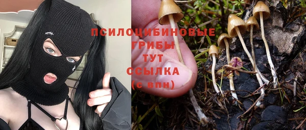 МДМА Горнозаводск